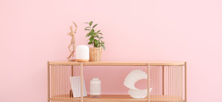 Modern,Shelving,Unit,With,Houseplant,And,Decor,Near,Pink,Wall